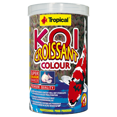 Tropical Koi Croissant Colour