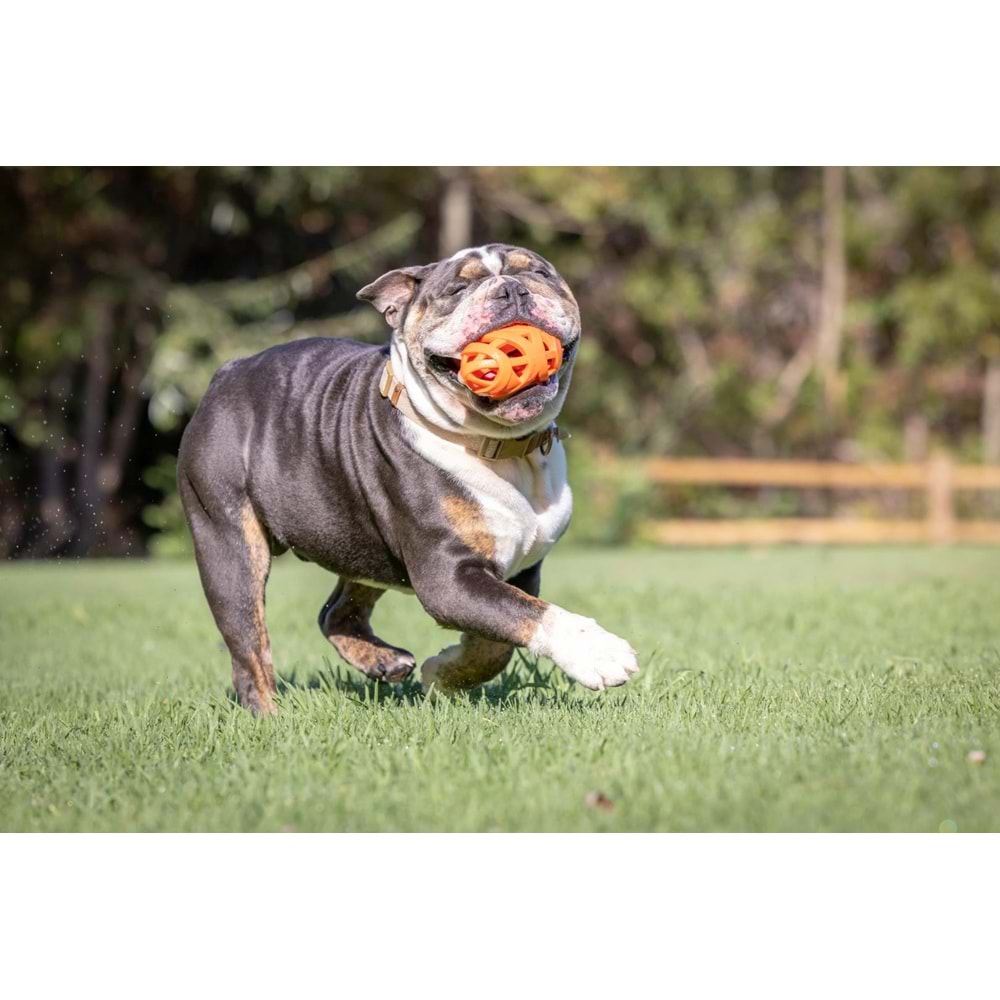Chuckit! Air Fetch Football Köpek Oyun Topu