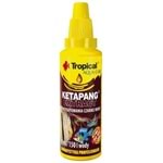 Tropical Ketapang