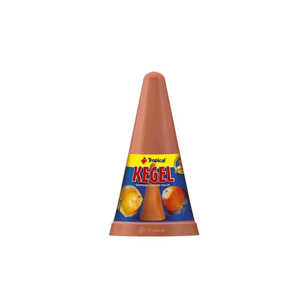 Tropical Kegel